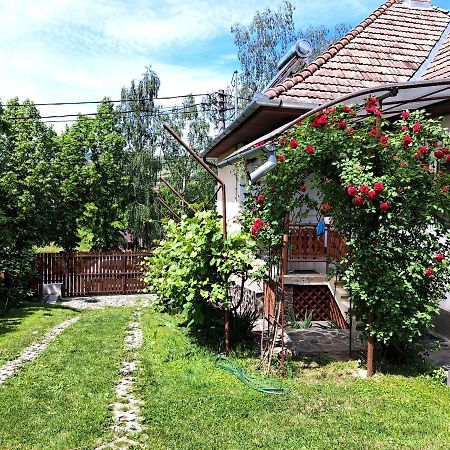 Casa De Vacanta Zsenik Vendeghaz Sovata Eksteriør billede