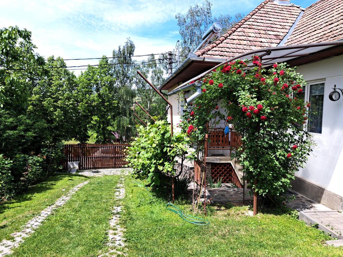 Casa De Vacanta Zsenik Vendeghaz Sovata Eksteriør billede